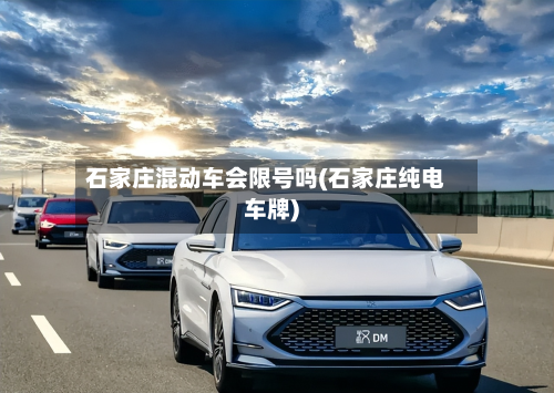 石家庄混动车会限号吗(石家庄纯电车牌)-第2张图片