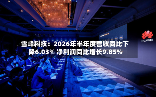 雪峰科技：2026年半年度营收同比下降6.03% 净利润同比增长9.85%-第3张图片