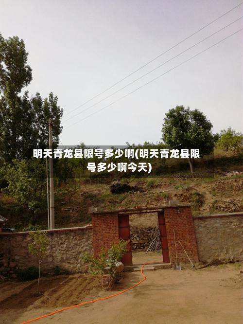 明天青龙县限号多少啊(明天青龙县限号多少啊今天)