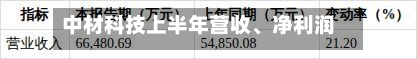 中材科技上半年营收、净利润均增逾20%-第2张图片