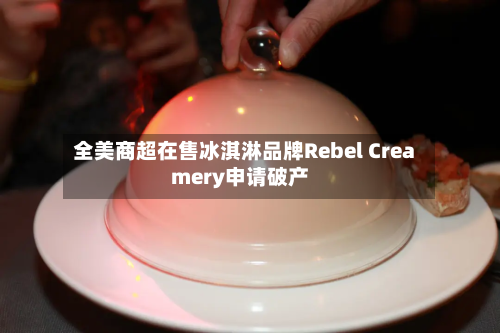 全美商超在售冰淇淋品牌Rebel Creamery申请破产-第2张图片