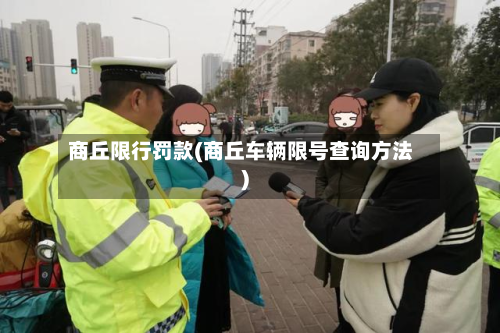 商丘限行罚款(商丘车辆限号查询方法)-第3张图片
