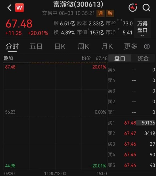 百亿龙头富瀚微，“一”字涨停