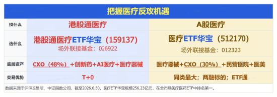业绩炸裂！全年收入剑指605亿	，药明康德AH股价狂飙！高“CXO含量	”港股通医疗ETF华宝（159137）暴涨超5%！